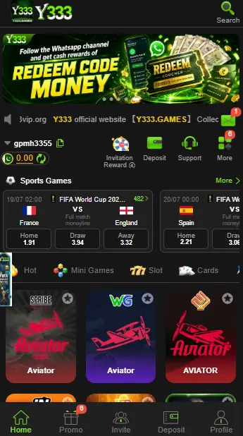 Y333-game